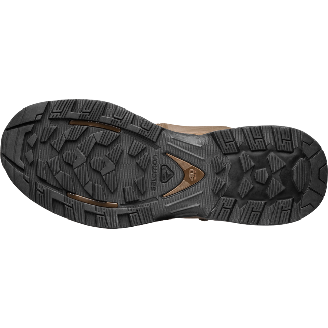 Chaussures Quest 4D Forces 2 EN marron - Salomon