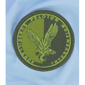 Écusson PSIG Gendarmerie Basse Visi. Vert