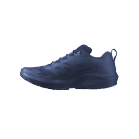 Schoenen Sense Ride 5 SR - Blauw - Salomon
