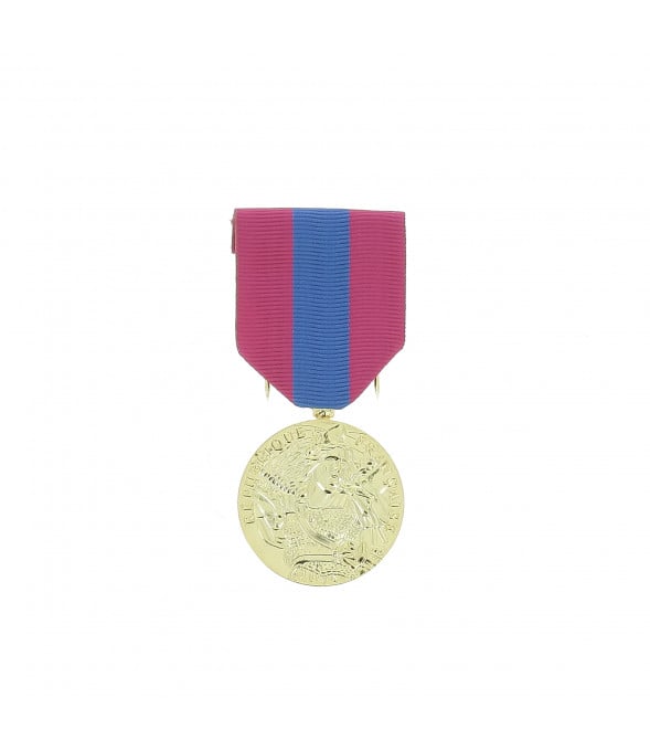 Médaille défense nationale bronze