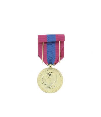 Médaille défense nationale bronze