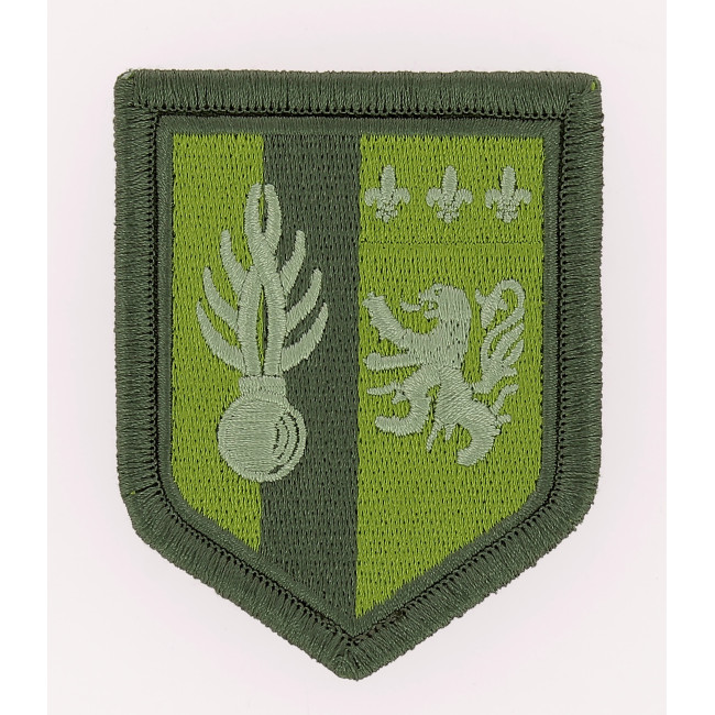 Badge 5e LGM Lage zicht. Groen