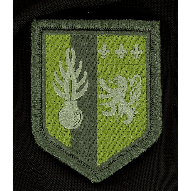 Badge 5e LGM Lage zicht. Groen