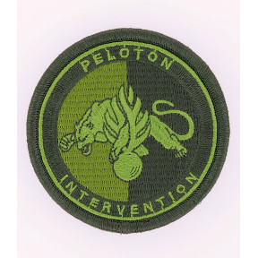 Embleem Peloton Interventie Rijkswacht Lage zichtbaarheid Groen