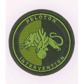 Embleem Peloton Interventie Rijkswacht Lage zichtbaarheid Groen