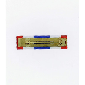 Barrette dixmude Protection Militaire du Territoire