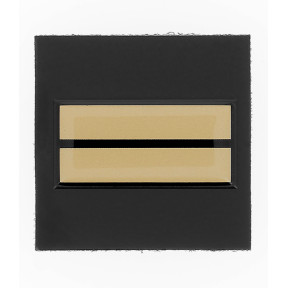 Galon de poitrine résine GM - Lieutenant