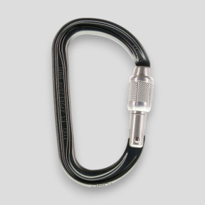 Asymetryczny lekki karabińczyk Am'D z blokadą Screw-Lock® - Czarny - Petzl