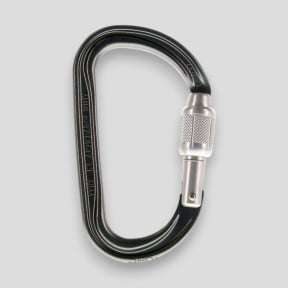 Asymetryczny lekki karabińczyk Am'D z blokadą Screw-Lock® - Czarny - Petzl