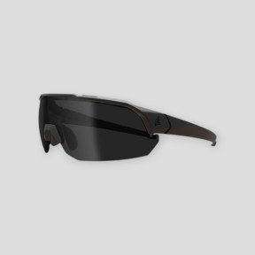 Ballistische bril Arc Light (Getint glas) - Zwart - Edge Tactical