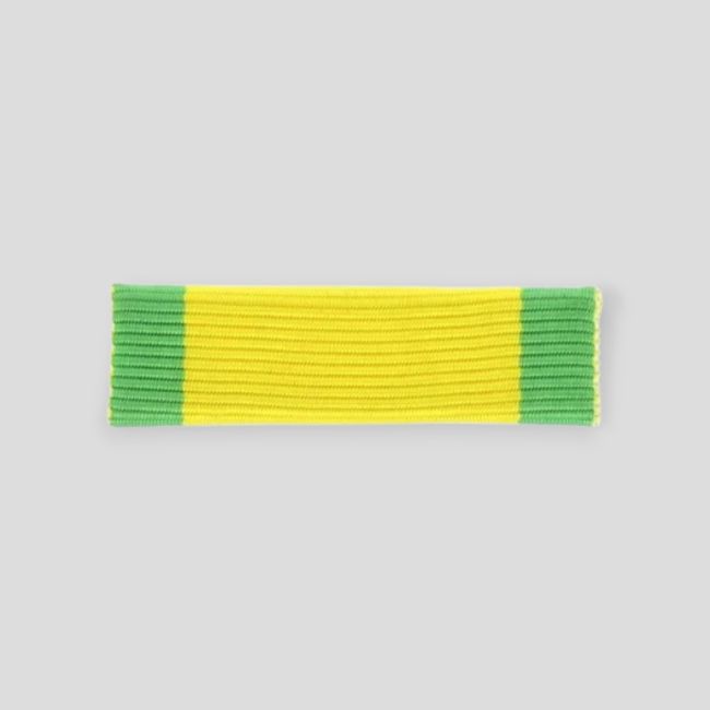 Barretta dixmude medaglia militare