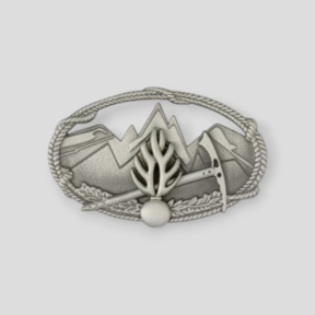 Metalen insigne Technisch Diploma Berg