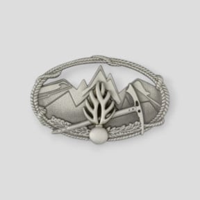 Metalen insigne Technisch Diploma Berg