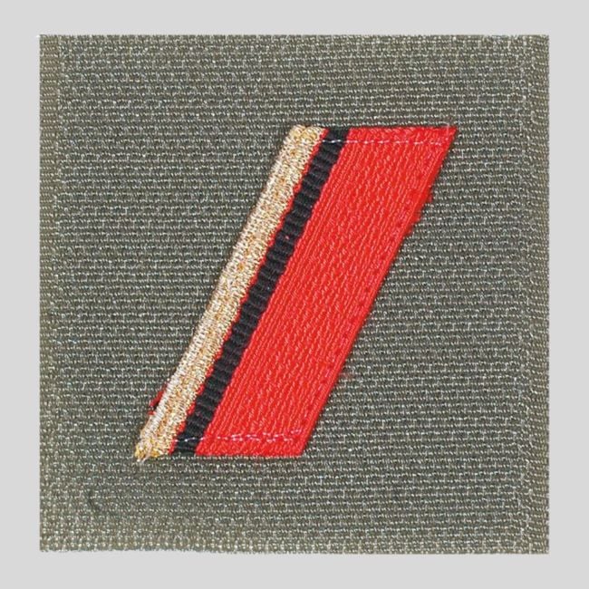 Divisa Exército de Terra alta visibilidade - 1ª Classe