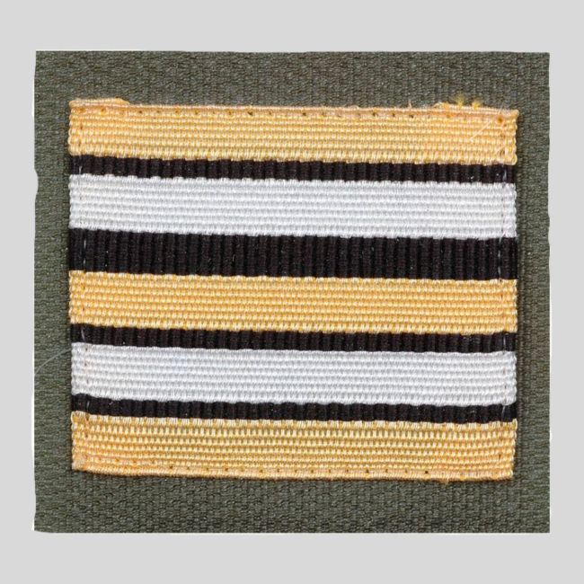 Dienstgradabzeichen Heer Hochsichtbar - Oberstleutnant