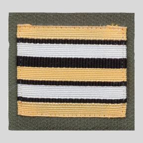 Gallone Esercito ad alta visibilità - Tenente Colonnello