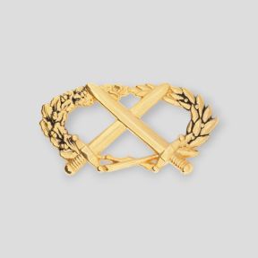 BMP-Abzeichen Gold - Ares