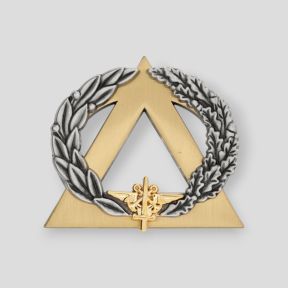 Insignia de Socorrista Oro - Ares