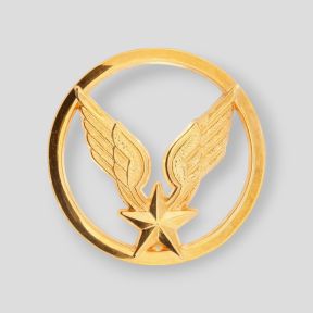 Distintivo del Basco Aviazione Leggera dell'Esercito - Ares