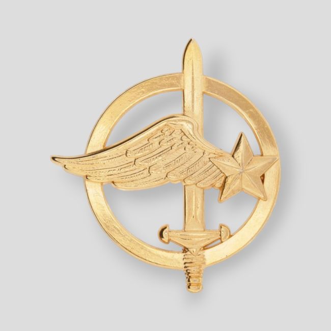 Insigne de Béret Commando de l'Air - Ares