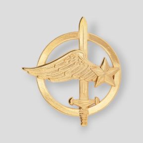 Insignia de Boina Comando del Aire - Ares