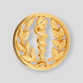 Insignia de Boina de Servicios de Salud - Ares