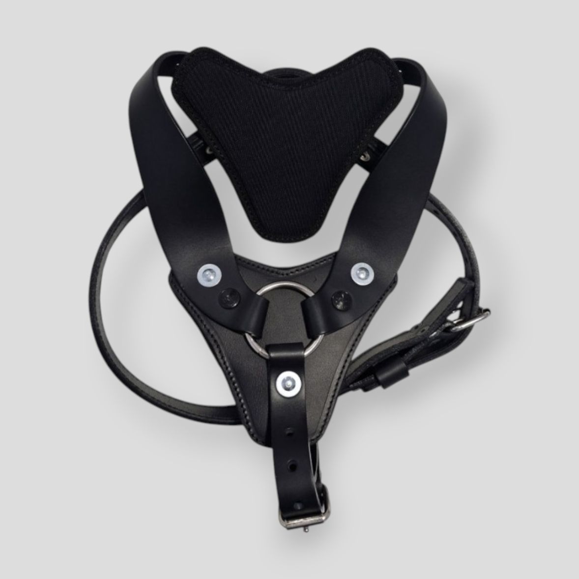 Mochila Arnês Ursinho Berhapy - 2 Em 1 Segurança - 1-3 Anos