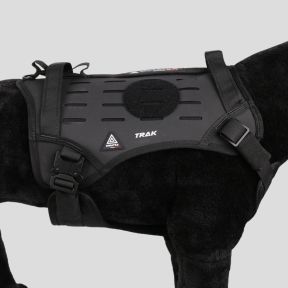 Hundegeschirr TRAK - Black Line - Dimatex
