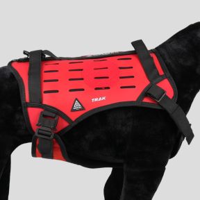 Harnas voor hond TRAK - Rood - Dimatex