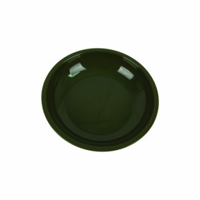 Bol 20 cm en polypropylène Vert - Highlander