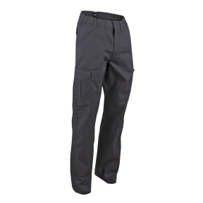 Pantalon braguette zippée multipoches Borne Gris - LMA