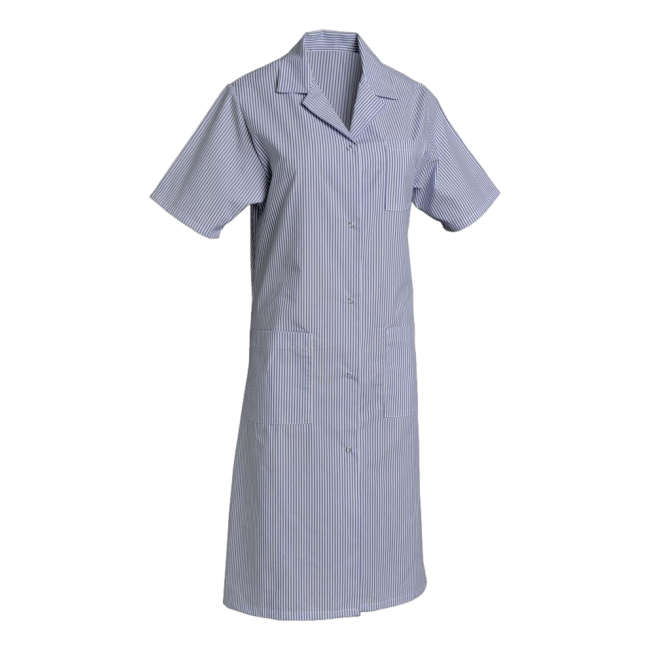Blouse manches courtes polycoton Madona Bleu ciel rayé - SNV