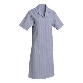 Blouse manches courtes polycoton Madona Bleu ciel rayé - SNV
