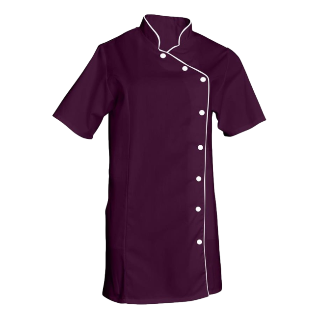 Tunique femme manches courtes Odile Prune - SNV