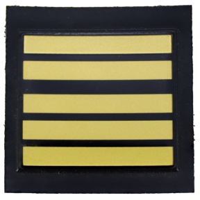 Galon de poitrine résine GM - Colonel