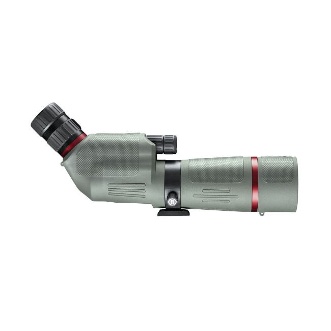 Lunette d'observation Bushnell Nitro 20-60X65 coudée - Bushnell
