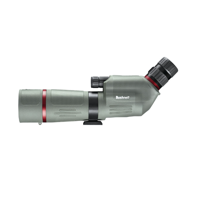 Lunette d'observation Bushnell Nitro 20-60X65 coudée - Bushnell