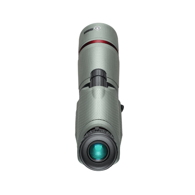 Lunette d'observation Bushnell Nitro 20-60X65 coudée - Bushnell