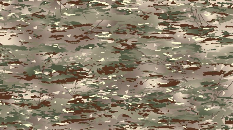 camuflagem multi-ambiente (BME)