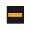 Warrant Officer rank of the departmental gendarmerie