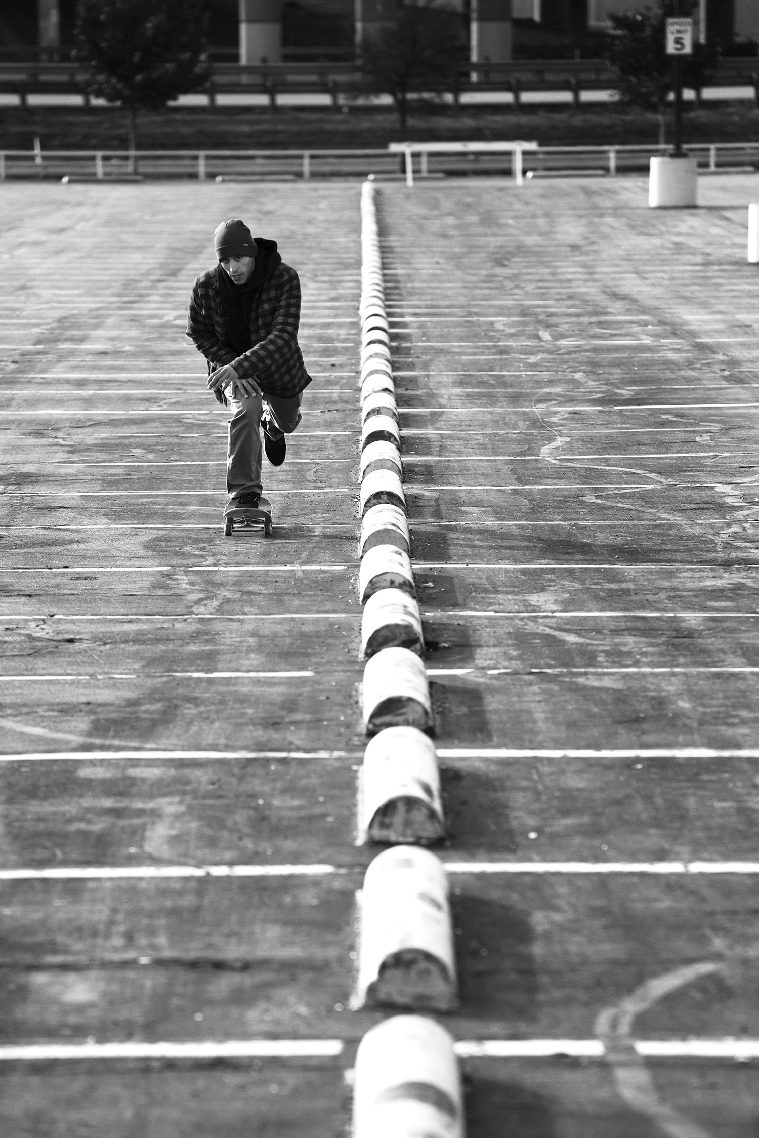 Skater Dickies
