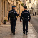Retour sur le terrain